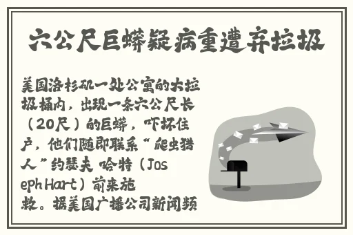 锅锅酱vlog免费观看